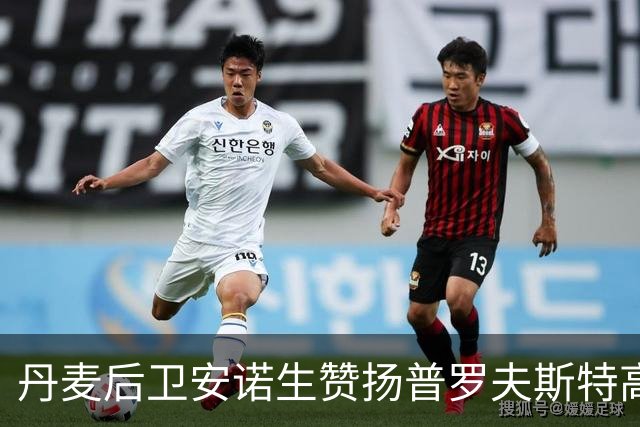 丹麦后卫安诺生赞扬普罗夫斯特高的强力搭档