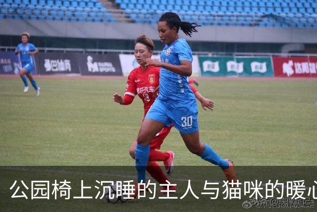 公园椅上沉睡的主人与猫咪的暖心瞬间